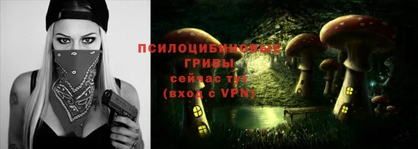 спайс Магас