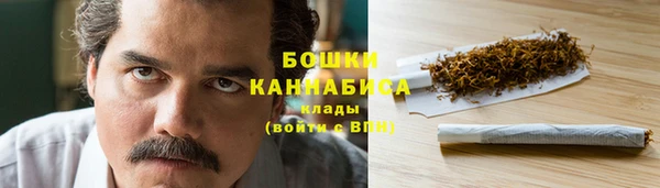 герыч Мегион