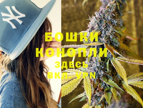 спайс Магас