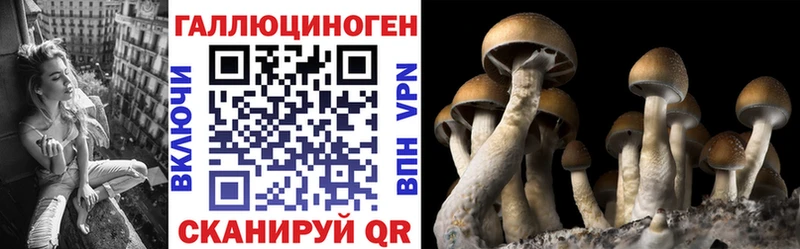 где найти   Инза  мега tor  Галлюциногенные грибы ЛСД 